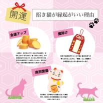 NEW 再出品 財布 レディース ミニ 春財布 福財布 招き猫 和風 