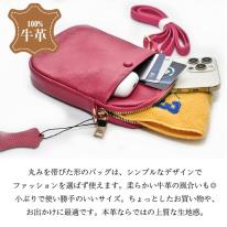 ショルダーショルダーバッグ レディース ミニ 軽量 小物入れ スマホ 小物収納 本革 斜めがけ 40