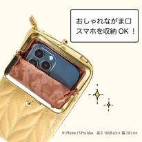 ショルダーバッグ レディース 大容量 人気 ミニ 軽量 小物入れ スマホ 斜めがけ 40代 即納