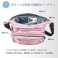 ショルダーバッグ レディース ミニ 斜めがけ スマホ 人気 可愛い 即納