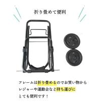 キャリーカート 定番商品 ショッピングカート 保冷 大容量 レディース 即納