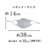 マスク 個包装 おしゃれ ファッション 洗える 立体 冷感 1袋2枚入り 可愛い 人気