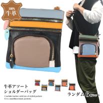 ショルダーバッグ レディース ミニ 小物入れ スマホ 本革