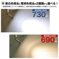 配線ダクトレール用スポットライト　口金E11 6WのLED電球付き