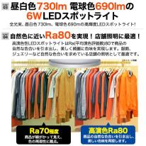 配線ダクトレール用スポットライト　口金E11 6WのLED電球付き