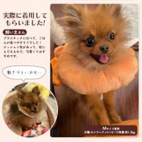 ソフトタイプのエリザベスカラー♪　クッション型 アニマル&フードデザインカラーS/M/Lサイズ