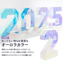 2025が多彩なLEDで幻想的に光る！お店などの演出に♪　LEDイルミネーションオブジェ 2025
