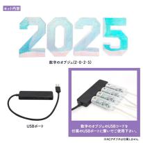 2025が多彩なLEDで幻想的に光る！お店などの演出に♪　LEDイルミネーションオブジェ 2025