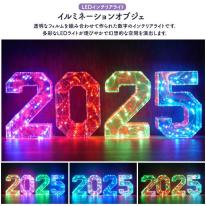 2025が多彩なLEDで幻想的に光る！お店などの演出に♪　LEDイルミネーションオブジェ 2025