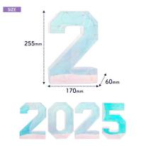 2025が多彩なLEDで幻想的に光る！お店などの演出に♪　LEDイルミネーションオブジェ 2025