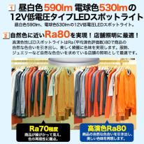 ＜LED電球・蛍光灯＞12V低電圧タイプLEDスポットライト　口金EZ10　白色/電球色