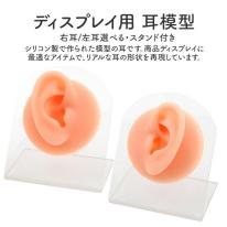 シリコンでリアルな耳を再現。　ディスプレイ用 耳模型 スタンド付き 右耳/左耳