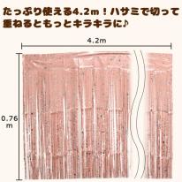 幅4.2mのロングタイプ♪　パーティー用フリンジカーテン(ホイル タッセルカーテン)