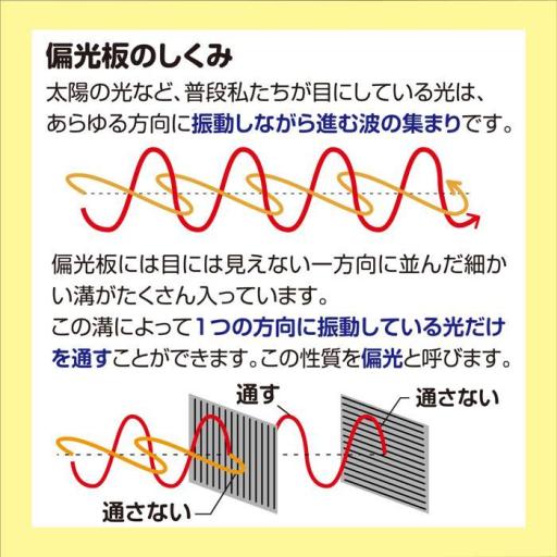 偏光板