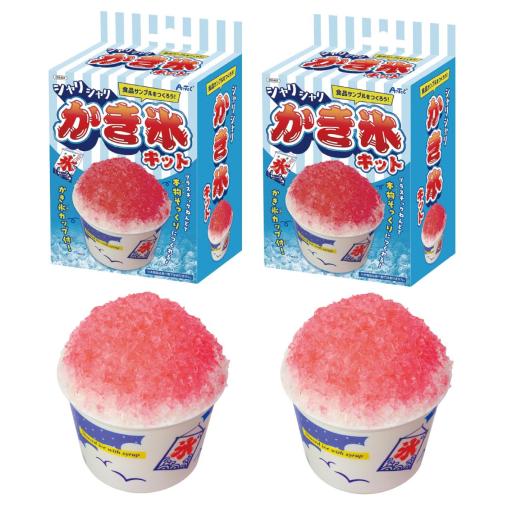 食品サンプルをつくろう！シャリシャリかき氷キット　２個組