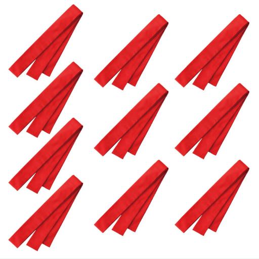 ＤＸはちまき　１０本セット　赤