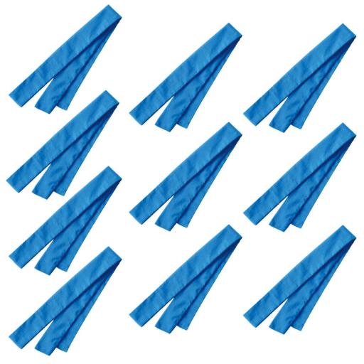 ＤＸはちまき　１０本セット　青