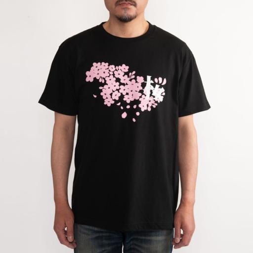 おみやT 桜