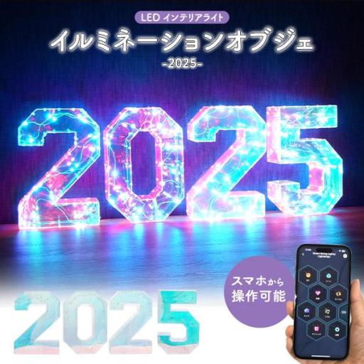 2025が多彩なLEDで幻想的に光る！お店などの演出に♪　LEDイルミネーションオブジェ 2025