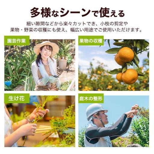 軽量ギザ刃で切れ味抜群　芽切ばさみ